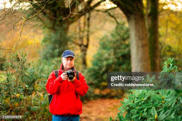 17,467 Forest Photographer Stock Photos, High-Res Pictures, and Images ...