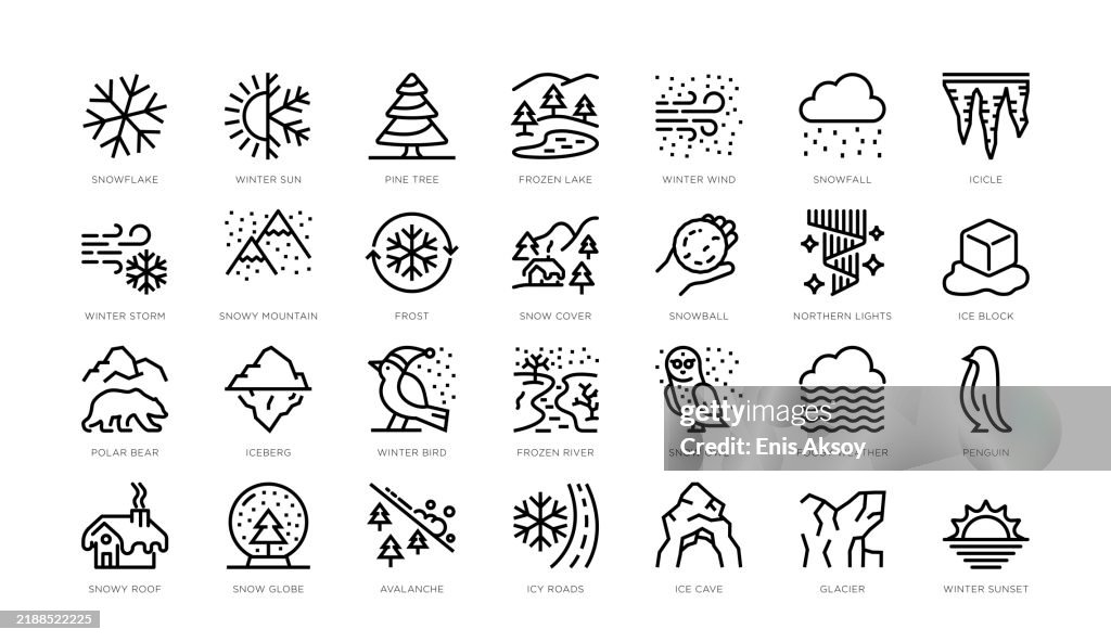 Winter Icons: Snow, Ice, Polar Wildlife, Northern Lights, Freezing Cold and more
