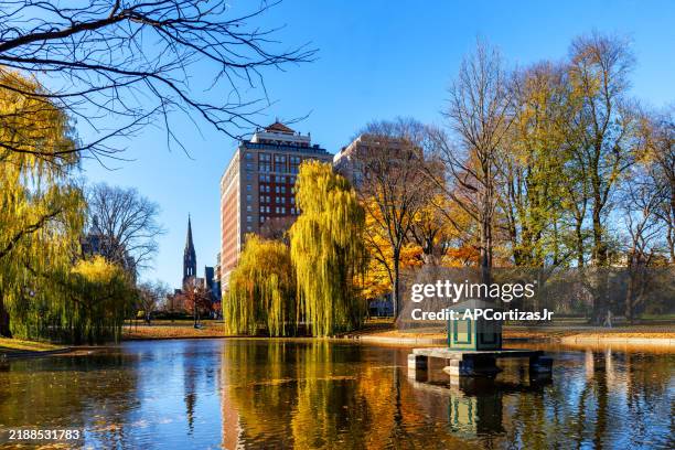 boston public garden - back bay - boston massachusetts - jardim público de boston - fotografias e filmes do acervo