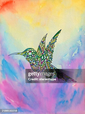 Rainbow bird Rainbow bird