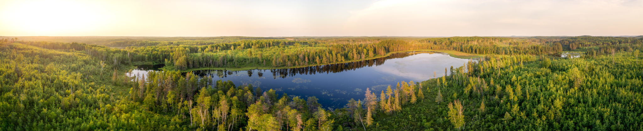panoramic view