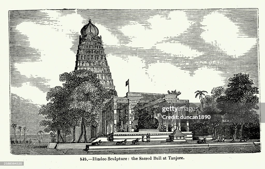 Ancient Hindo sculpture, Sacred Bull at Tanjore, Vintage illustration