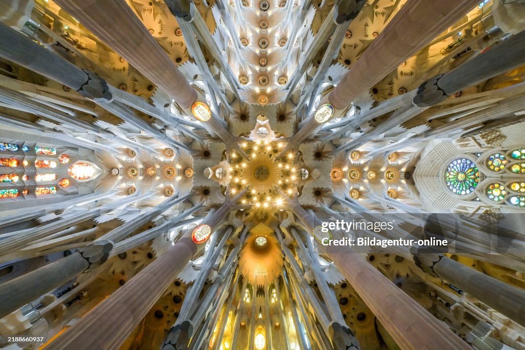 Vaulted Ceiling Columns Sagrada Familia Basilica By Antoni Gaudi vaulted-ceiling-columns-sagrada-familia-basilica-by-antoni-gaudi
