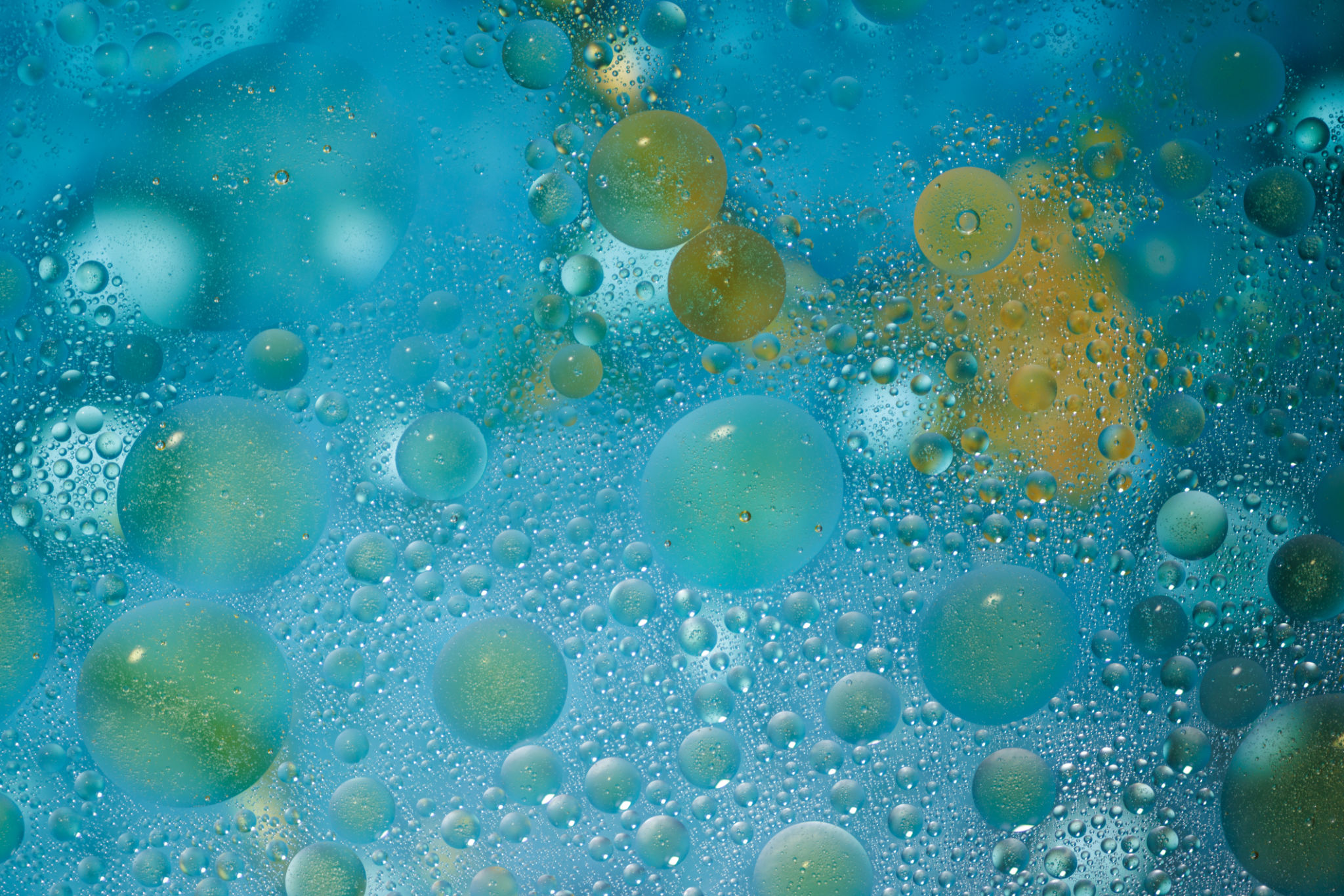Floating colorful oil bubbles in water create a vibrant abstract art piece. Stunning patterns emerge with light and texture interplay. Floating colorful oil bubbles in water create a vibrant abstract art piece. Stunning patterns emerge with light and texture interplay.