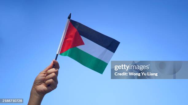 hand holding palestine flag on blue sky background - palestijnse vlag stockfoto's en -beelden