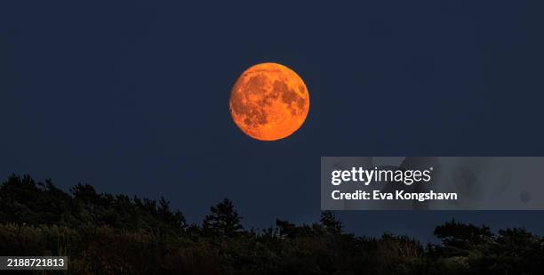 the rising moon looks like a red ball hanging in the air - maan stockfoto's en -beelden