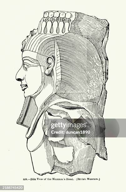 ancient egyptian statue, the younger memnon, it depicts the nineteenth dynasty pharaoh ramesses ii wearing the nemes head-dress with a cobra diadem on top. vintage illustration - pharaoh stock illustrations
