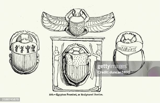 history ancient egypt, egyptian scarabaeus sacer, common name sacred scarab, vintage illustration - egyptian god stock illustrations
