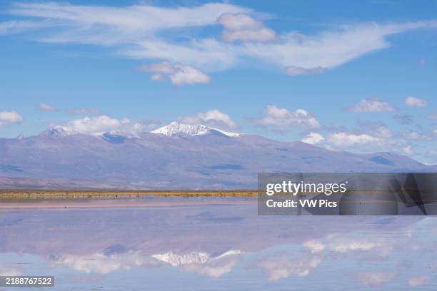 The snow-capped Nevado de Chañi refected on a shallow sheet of water on the salt flats of Salinas Grandes in northwest Argentina.