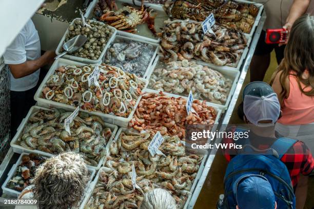 Mercado De Marisco Cinta Costera .