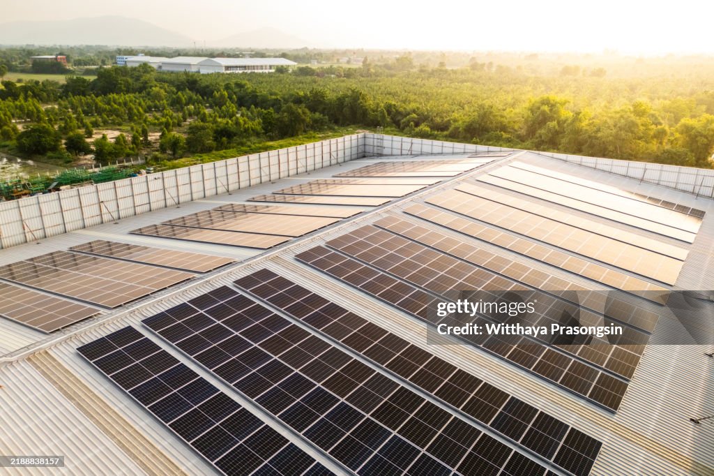 Expansive Solar Panels on Rooftop Overlooking Lush Green Landscape