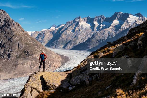 aletsch glacier view, valais, switzerland - aletsch glacier stock pictures, royalty-free photos & images