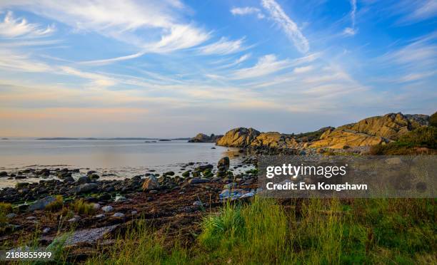 taking in the glorious end of a beautiiful day - provincia de vestfold og telemark fotografías e imágenes de stock