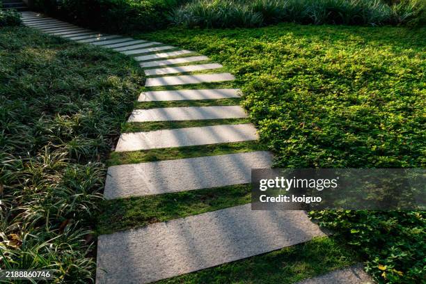 park stone path with light - voie pédestre photos et images de collection