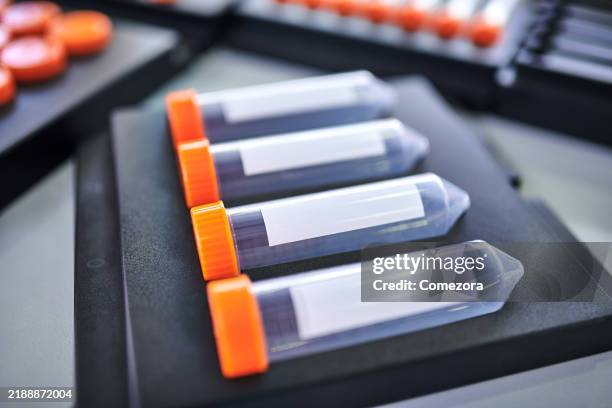 new test tube at shelf - test tube rack stock pictures, royalty-free photos & images