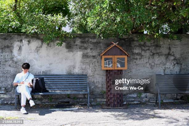 a young man sits on a park bench next to an open bookcase on como's seafront promenade. - water wise stock pictures, royalty-free photos & images