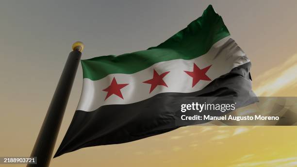 new flag of syria - syrien stock-fotos und bilder
