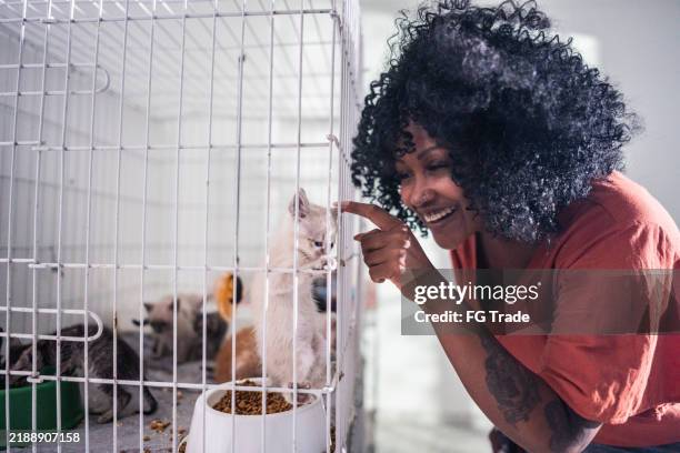 mid adult woman adopting a cat at an animal shelter - pet adoption stock pictures, royalty-free photos & images