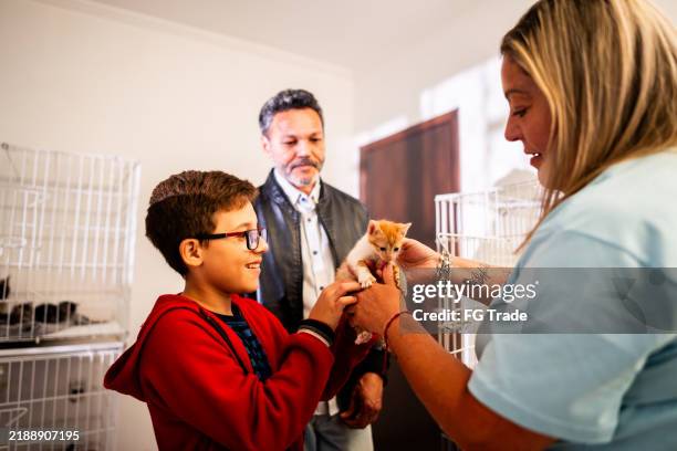 volunteer showing cat to customers at an animal shelter - animal shelter stock pictures, royalty-free photos & images