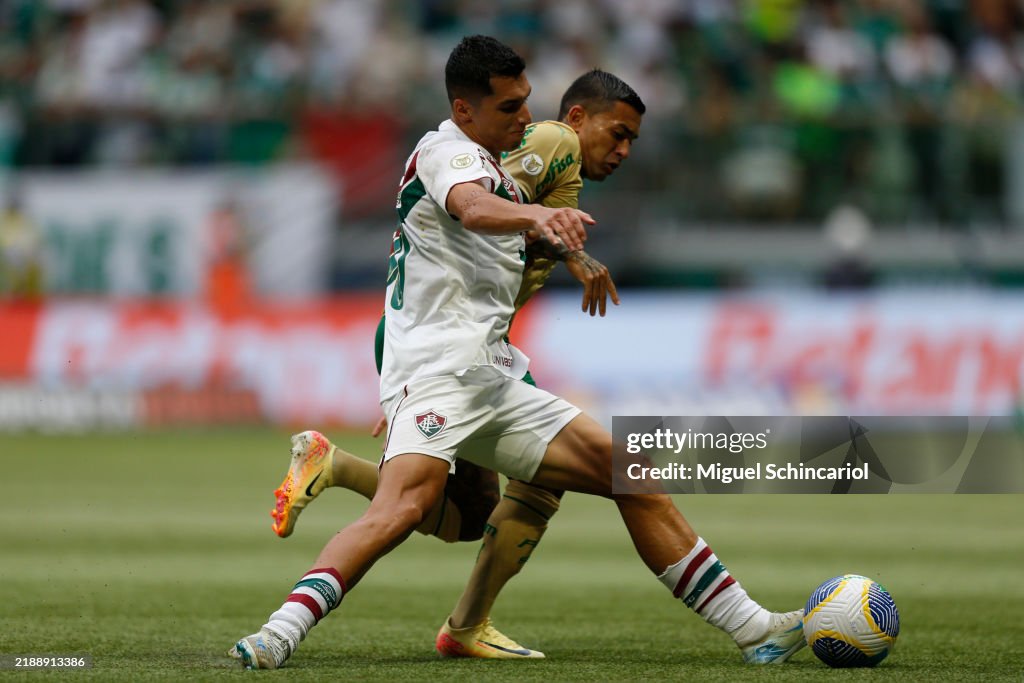 Palmeiras v Fluminense - Brasileirao 2024