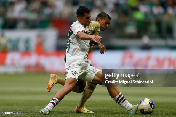 Palmeiras v Fluminense - Brasileirao 2024 Palmeiras v Fluminense - Brasileirao 2024