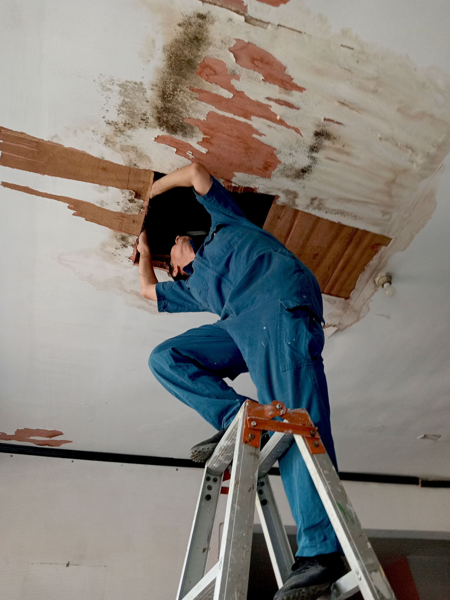 property maintenance