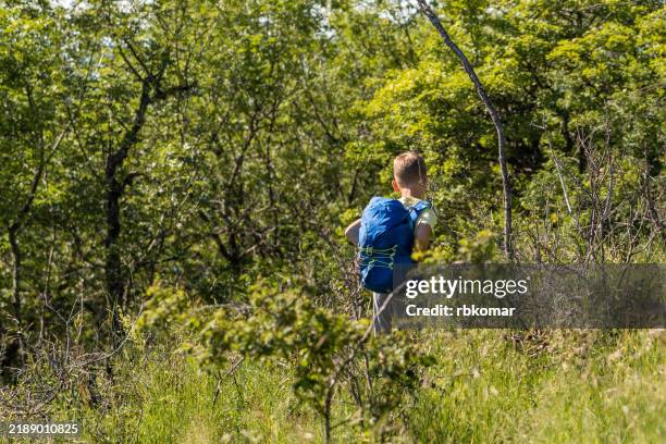 one little kid with blue backpack on hiking forest adventure - lost stock pictures, royalty-free photos & images
