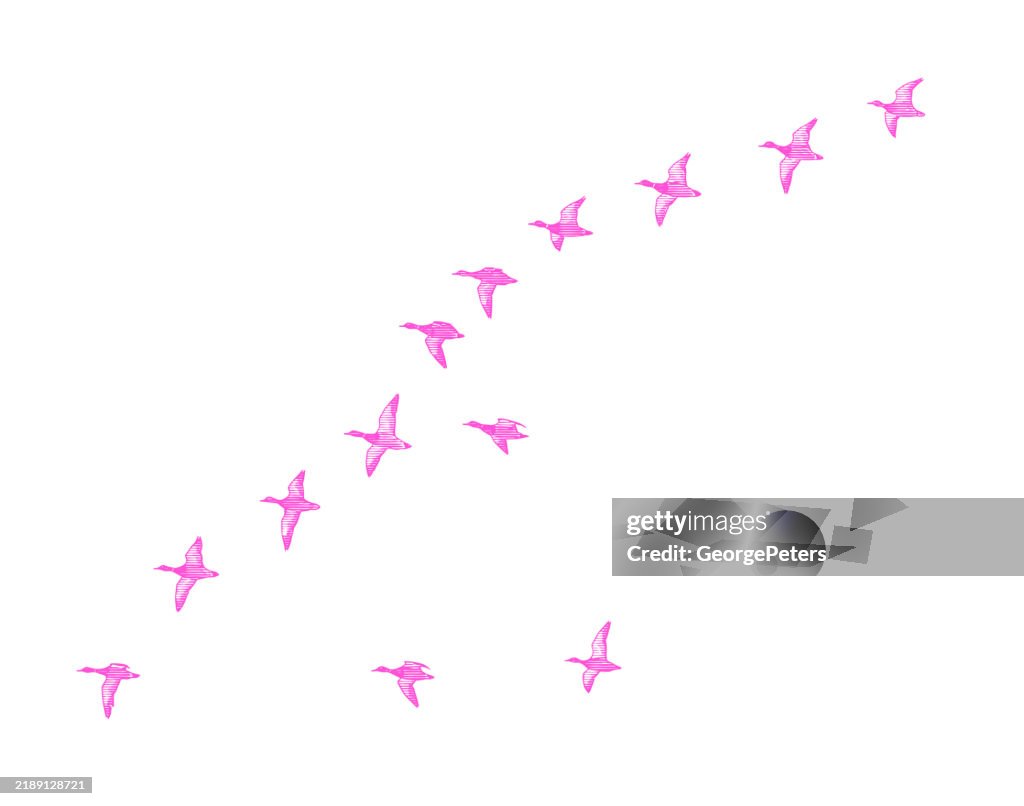 Ducks flying in V-Formation