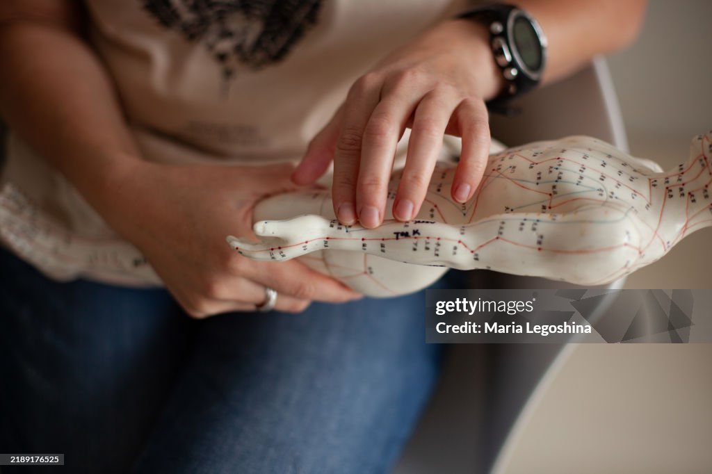 Women's hands show acupuncture points on a human model