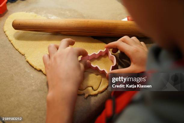 the child baking cookies holds a baking mold in the shape of fir tree in his hands - figurita de jengibre fotografías e imágenes de stock