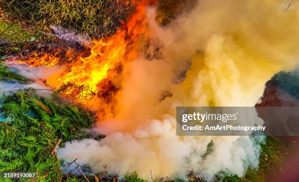 Common Myths About Fire Extinguishers Debunked: What Surrey Residents ...