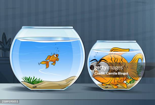 large goldfish in small bowl and small goldfish in large bowl - cartoon goldfish stock illustrations