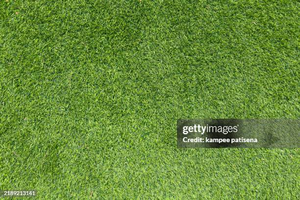 artificial grass, close up, full frame shot - hierba-pasto fotografías e imágenes de stock