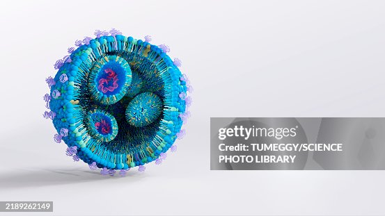 Lipid nanoparticle structure, illustration Lipid nanoparticle structure, illustration