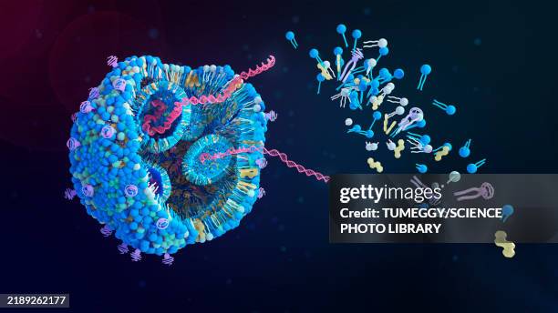 illustrations, cliparts, dessins animés et icônes de lipid nanoparticle structure, illustration - nanoparticule