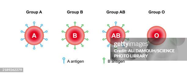 abo blood groups, illustration - bone marrow stock illustrations
