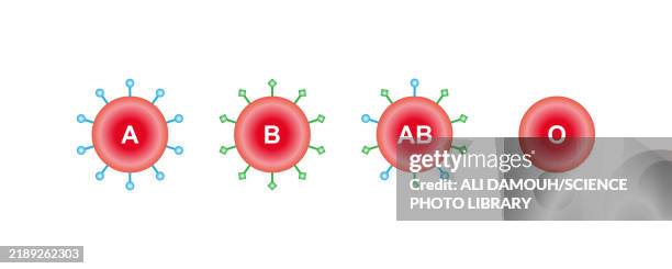 abo blood groups, illustration - bone marrow stock illustrations