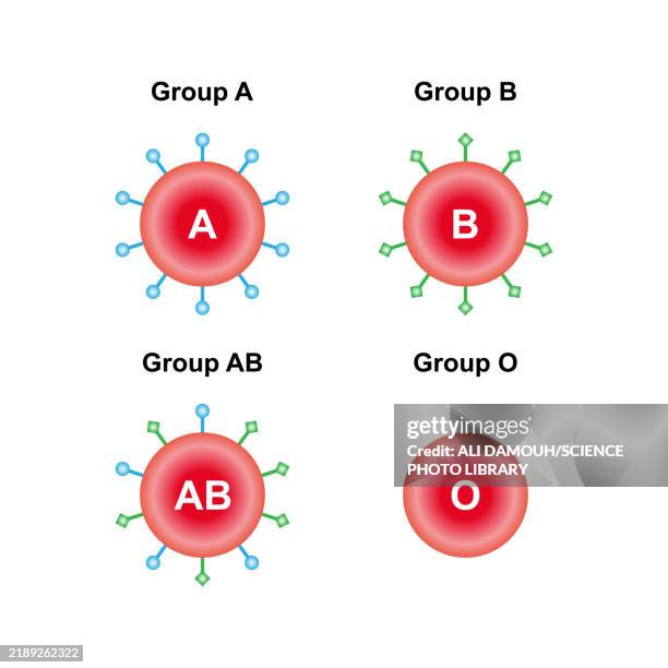 abo blood groups, illustration - bone marrow stock illustrations