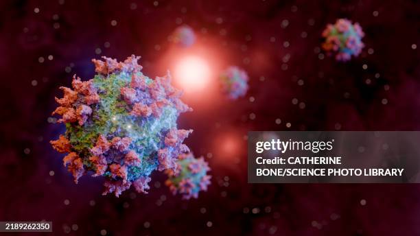 rhinovirus, illustration - capsid stock illustrations