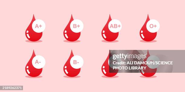 abo blood groups, illustration - bone marrow stock illustrations