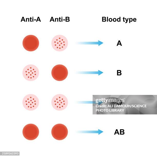 abo blood groups, illustration - bone marrow stock illustrations