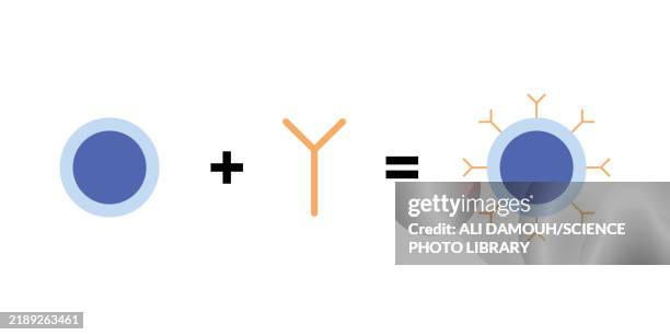 car-t cell therapy, illustration - t cell stock illustrations