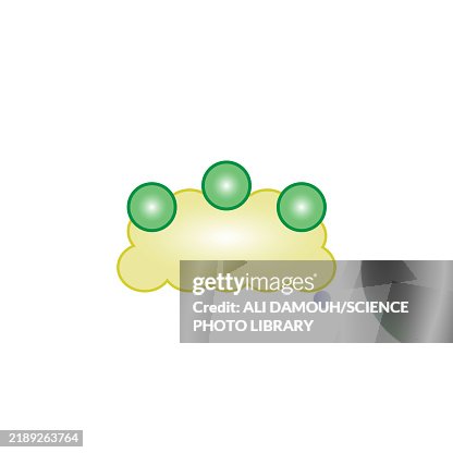 Bile salt structure, illustration Bile salt structure, illustration