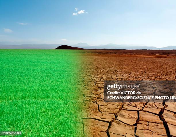 ilustraciones, imágenes clip art, dibujos animados e iconos de stock de climate change, conceptual illustration - calentamiento global