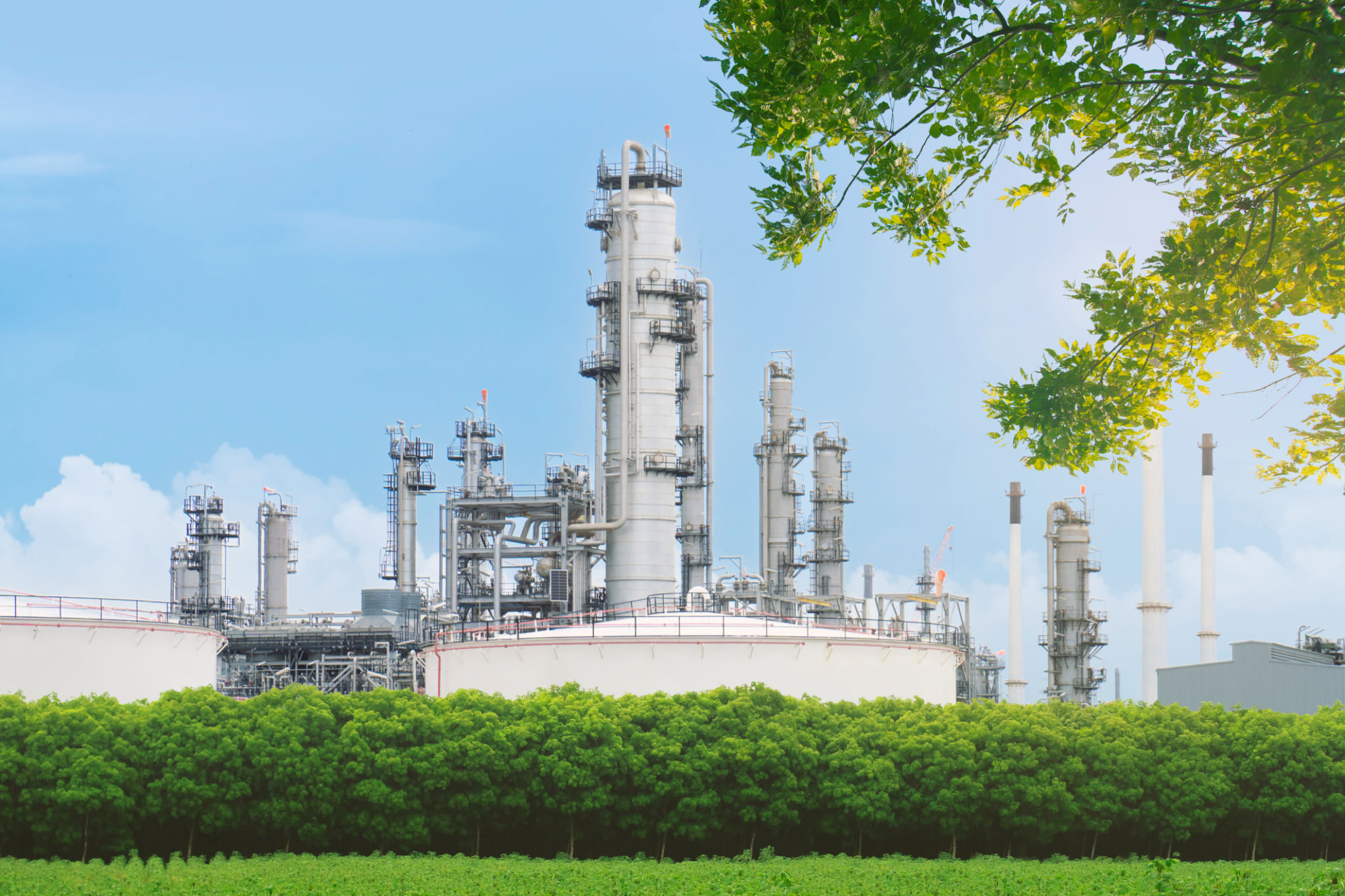 eco-friendly lubricants