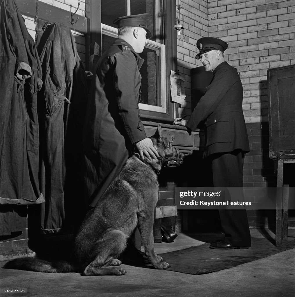 Police Dog Patrols King's Cross Good Yard, London, 1951