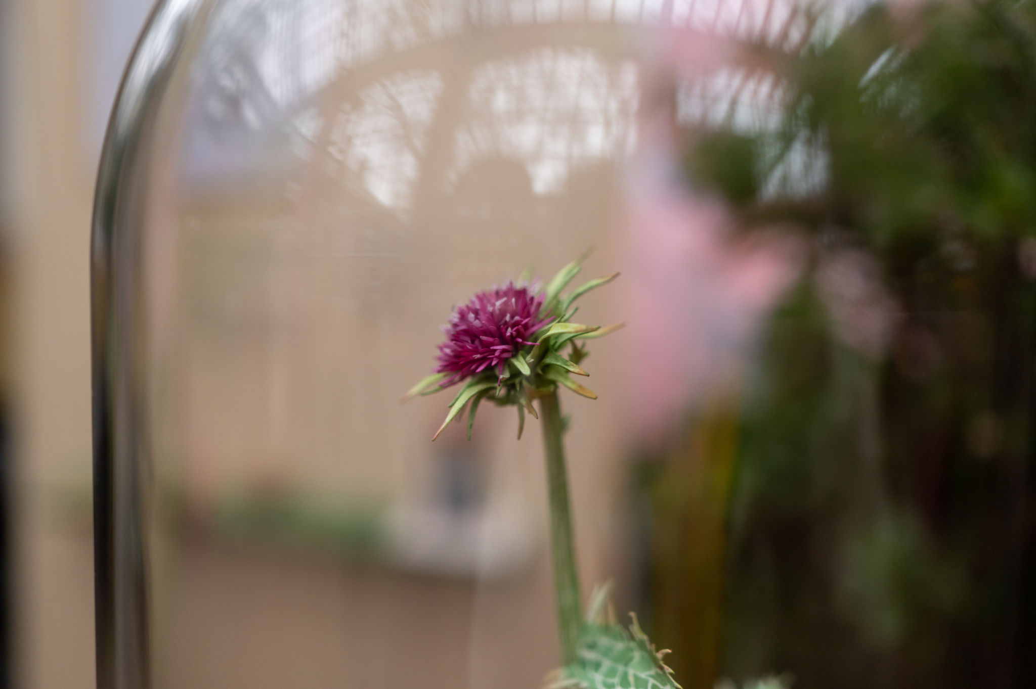 terrarium care
