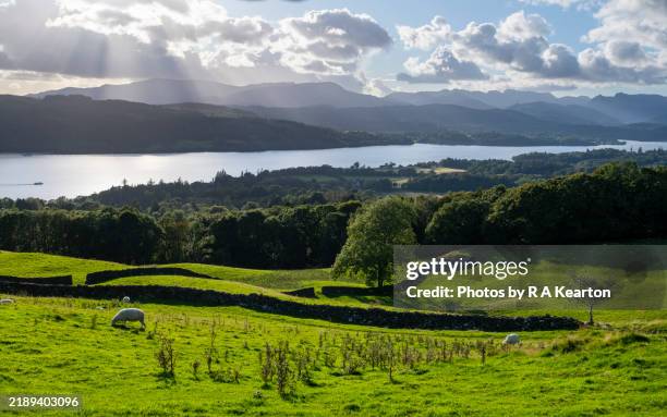 beautiful countryside around windermere, lake district, england - lake windermere stock pictures, royalty-free photos & images