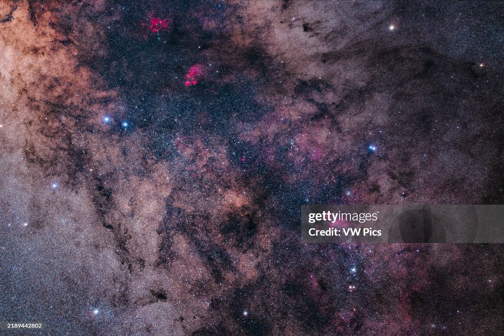 The Tail of Scorpius