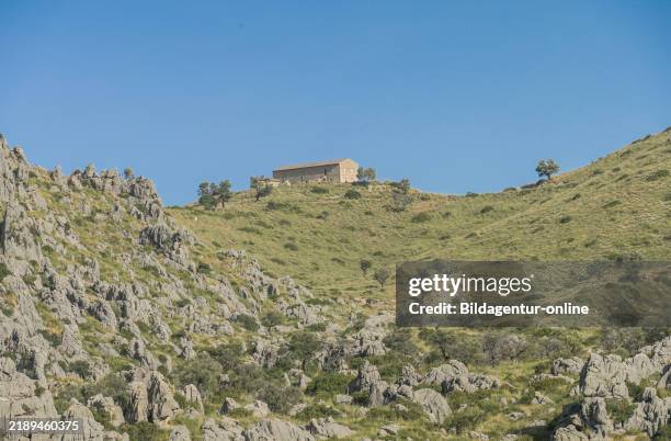 Quarter Ridges 47 Quarter Ridges Stock Photos, High-Res Pictures, and Images - Getty ...